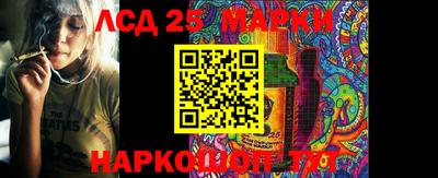 индика Волжский