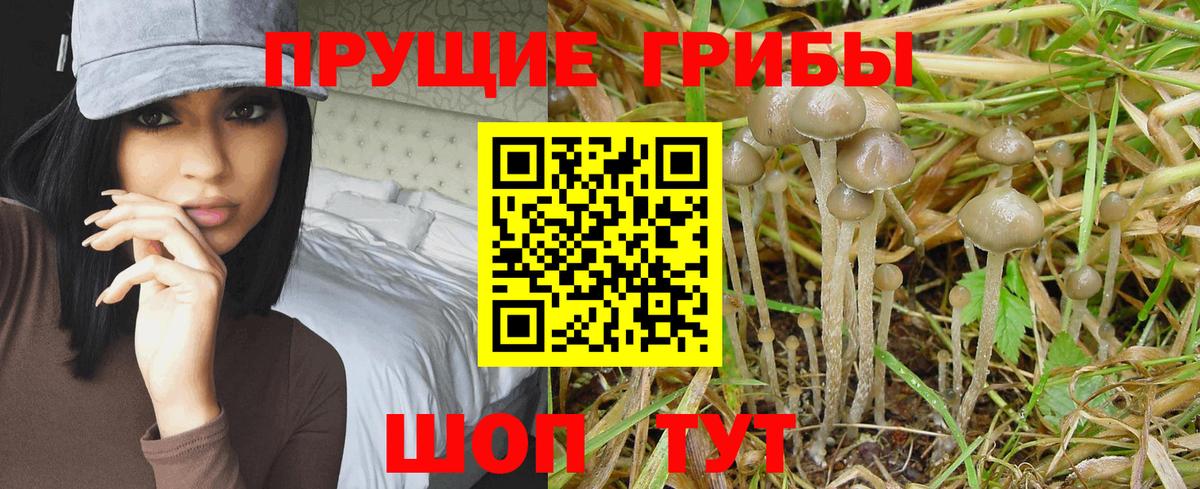 Псилоцибиновые грибы ЛСД  цена   Новоуральск  Вход с VPN 